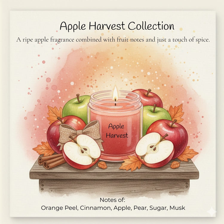 Comfy Cozy Home Apple Harvest Collection