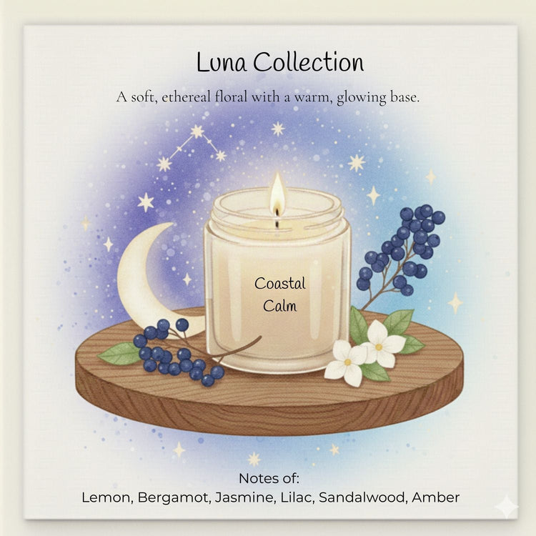 Comfy Cozy Home Luna Fragrance Collection