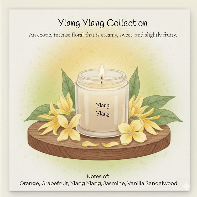 Comfy Cozy Home Ylang Ylang Collection