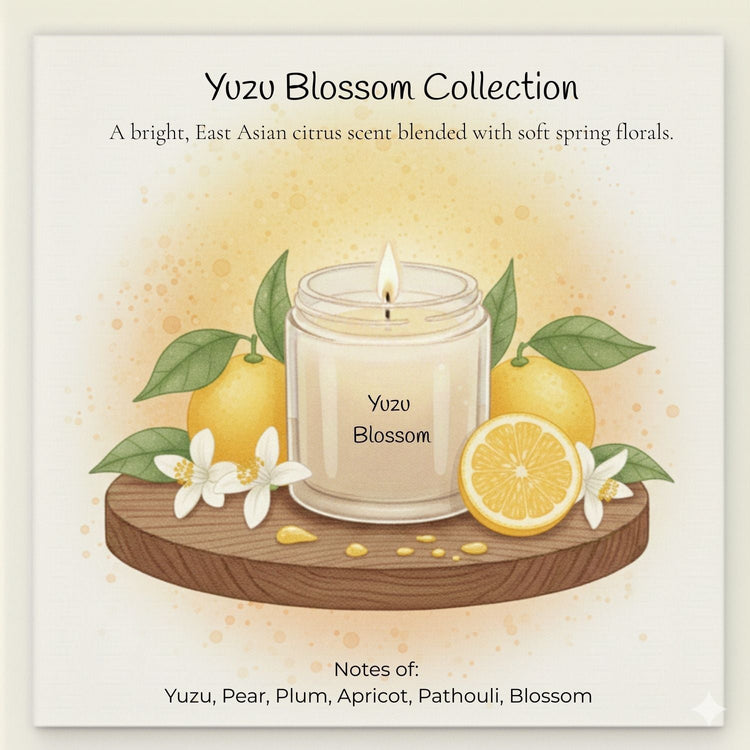 Comfy Cozy Home Yuzu Blossom Fragrance Collection